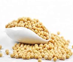 SOYA BEANS